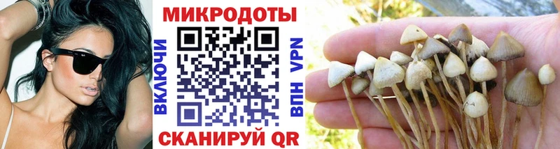 что такое   Губаха  Псилоцибиновые грибы прущие грибы 
