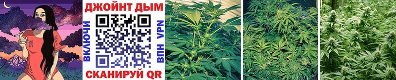 МАРИХУАНА White Widow  Губаха 